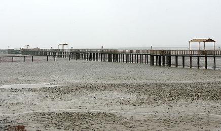 北美PS5光碟生产遇阻 《博德之门3》实体豪华版延期